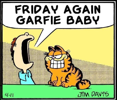 FRIDAY AGAIN GARFIE BABY