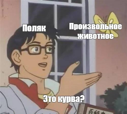 7 Поляк Произвольное Животное 4 Это курва?