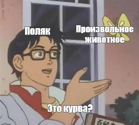 7 Поляк Произвольное Животное 4 Это курва?