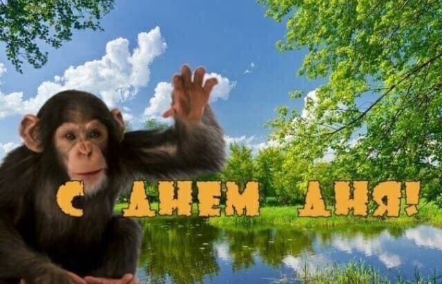 @memasy