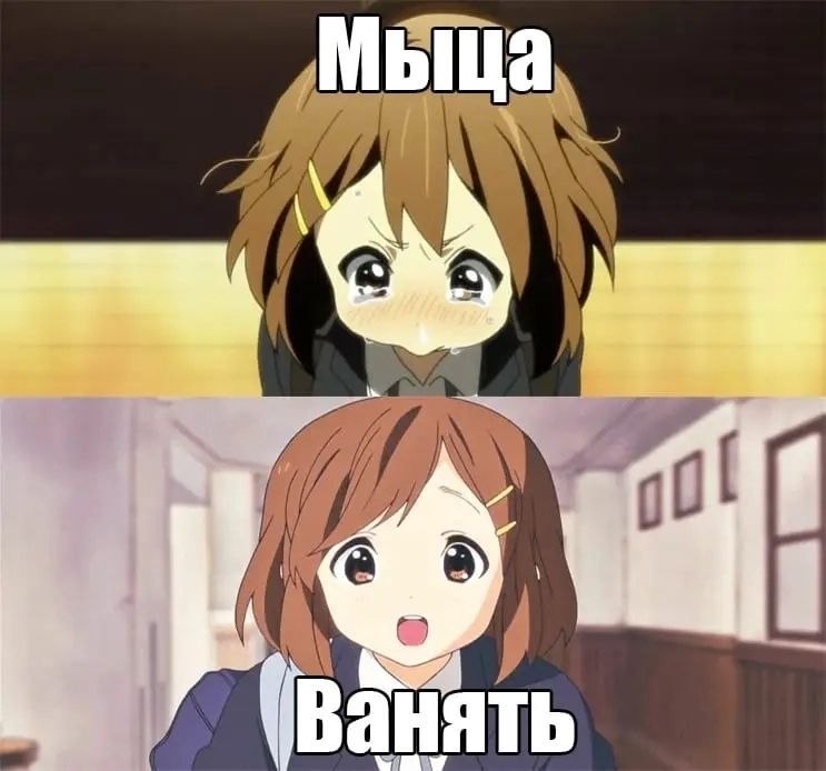 Мыца (ванять