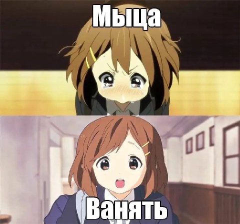 Мыца (ванять