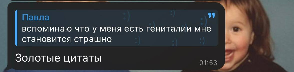 99 Павла вспоминаю что у меня есть гениталии мне становится страшно Золотые цитаты 01:53