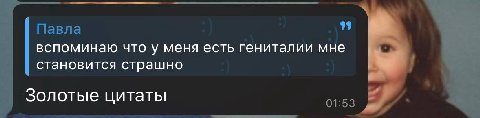 99 Павла вспоминаю что у меня есть гениталии мне становится страшно Золотые цитаты 01:53