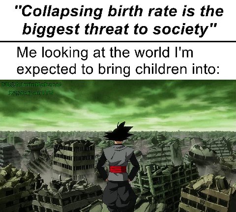 “Collapsing birth rate is the biggest threat to society" Me looking at the world expected to bring children into: