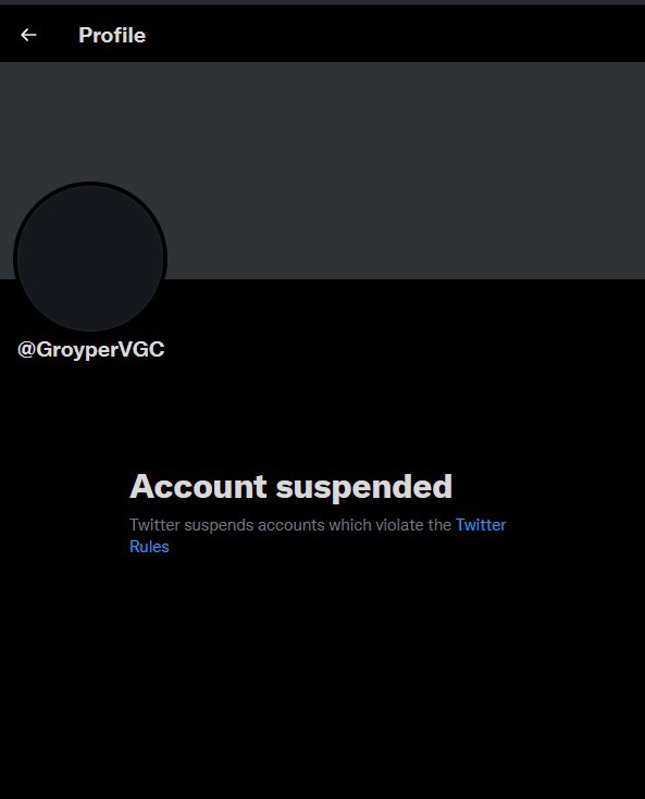 Profile @GroyperVGC Account suspended Twitter suspends accounts which violate the Twitter Rules