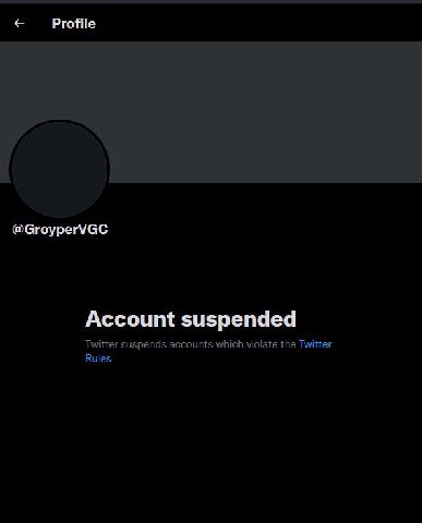 Profile @GroyperVGC Account suspended Twitter suspends accounts which violate the Twitter Rules