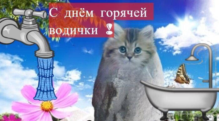 С днём горячей 9 водички a?
