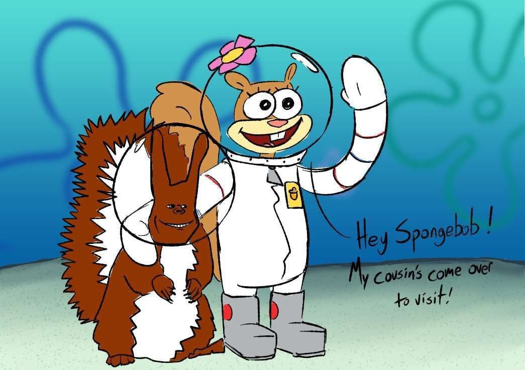wih 6
