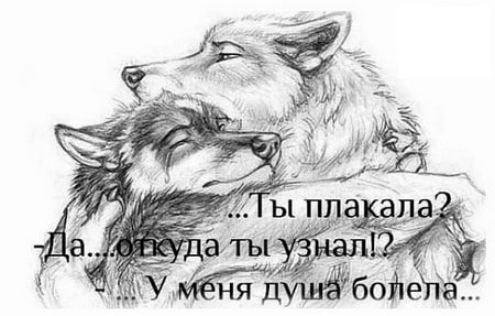 пла в Vila Tot \У болела