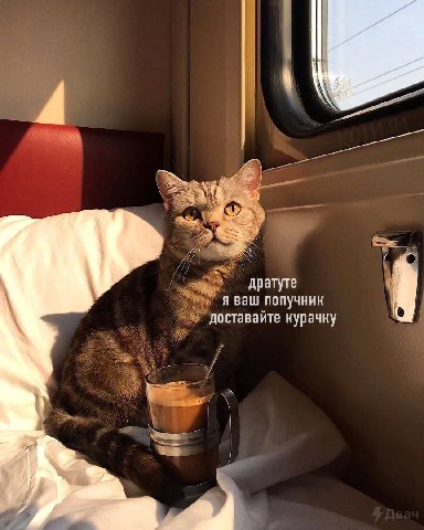 дратуте A ваш попучник доставайте курачку ТРУ