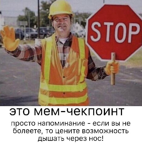 это мем-чекпоинт просто напоминание если вы не болеете, то цените возможность дышать через нос!