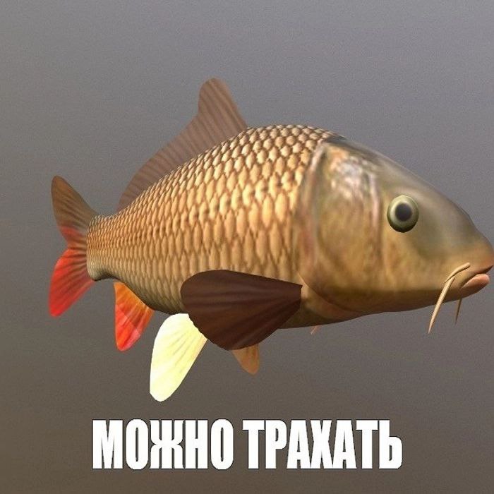 МОЖНО ТРАКАТЬ