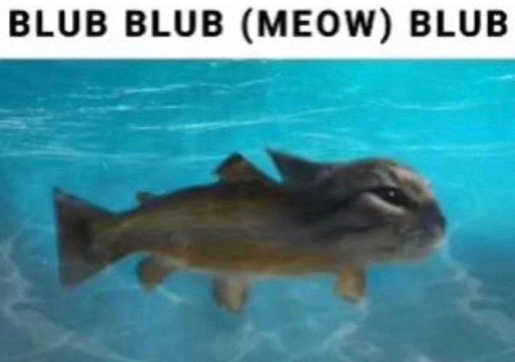 BLUB BLUB (MEOW) BLUB