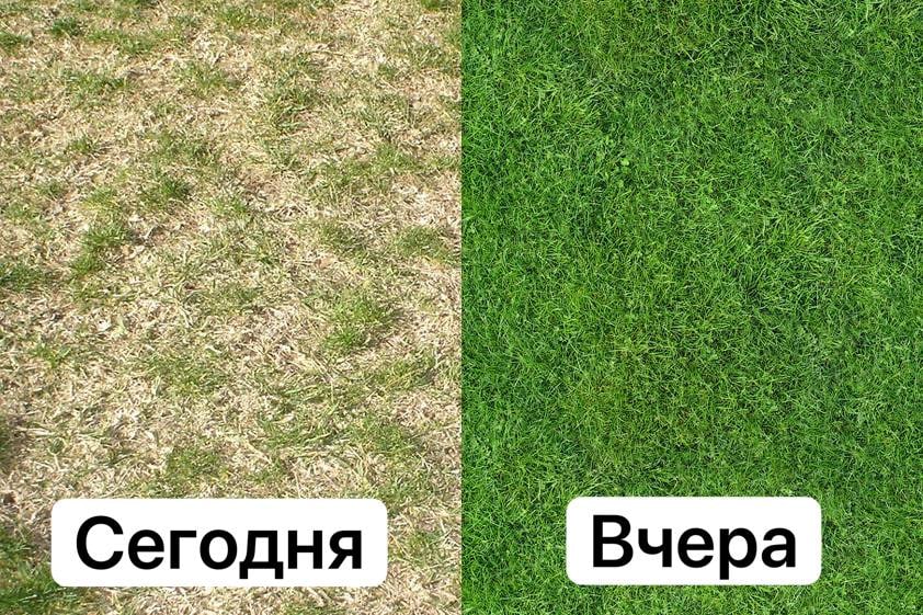 item, Riva be OF AS 5% Me on +3 Сегодня Вчера
