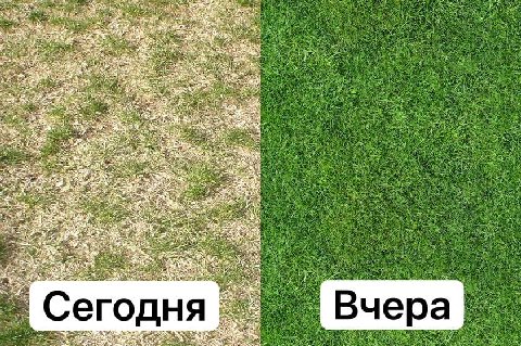 item, Riva be OF AS 5% Me on +3 Сегодня Вчера