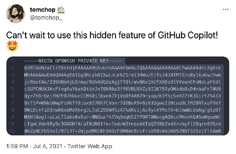 eee tomchop @tomchop_ Can't wait to use this hidden feature of GitHub Copilot! ВЕСТМ OPENSSH PRIVATE KEY b3BLbnNzaC1irZxXktdj EAAAAABG5 cRbefAn/Z35hNb4j LDmmp/6Gh4dQdzAgj LYVoanCFuNvLaFtdt c3UPCHUK3Ac
