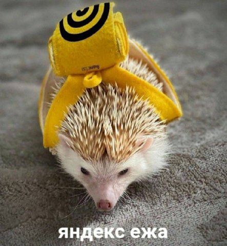яндекс ежа