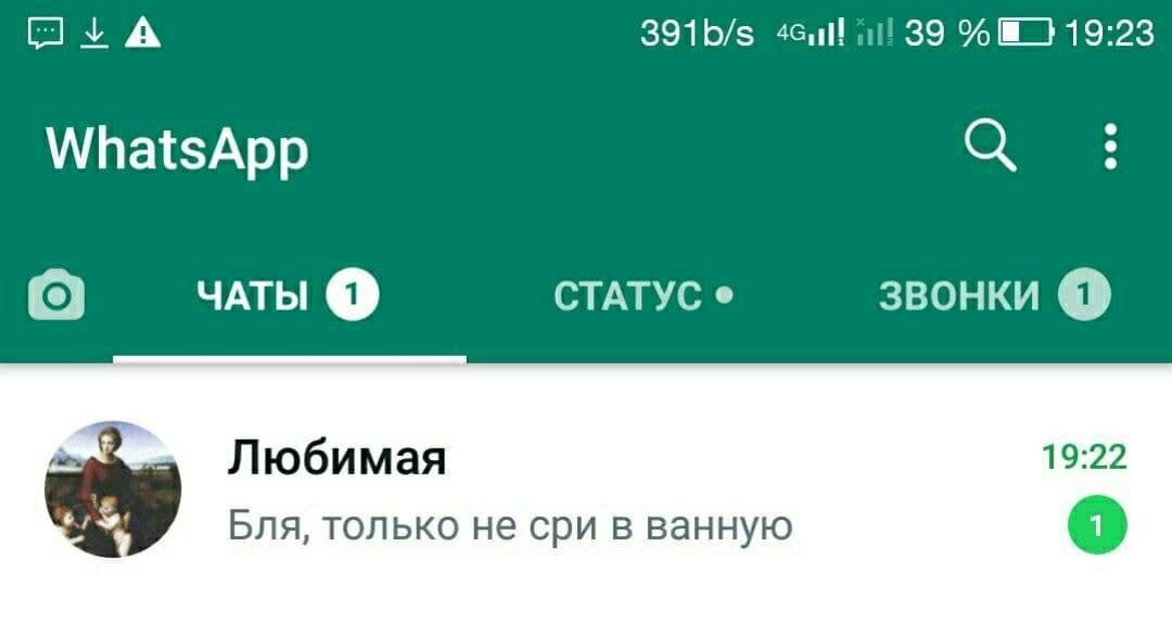 А 39 WhatsApp ЧАТЫ СТАТУС звонки Любимая 19:22 Бля, только не сри в ванную