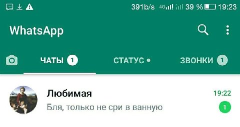 А 39 WhatsApp ЧАТЫ СТАТУС звонки Любимая 19:22 Бля, только не сри в ванную