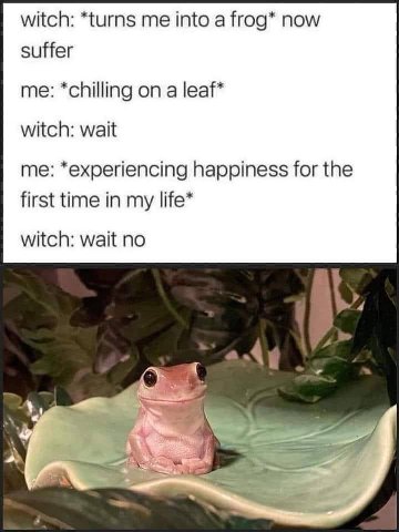witch: *turns me into a frog* now suffer me: *chilling on a leaf* witch: wait me: *experiencing happiness for the first time in my life* witch: wait no 4 а