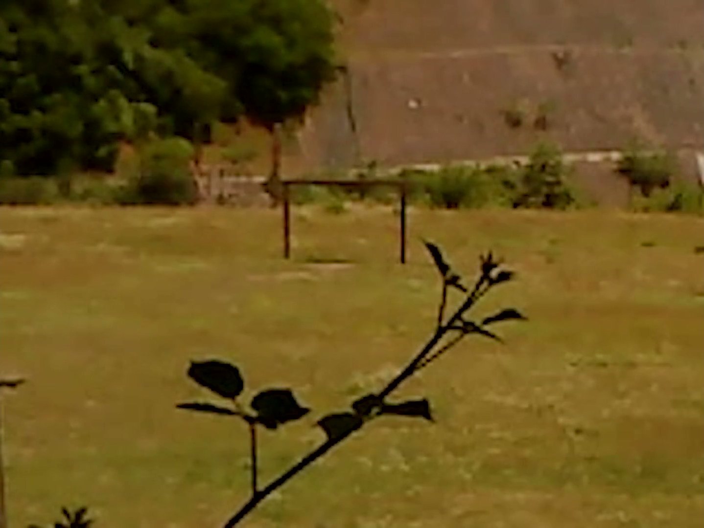 -we 7