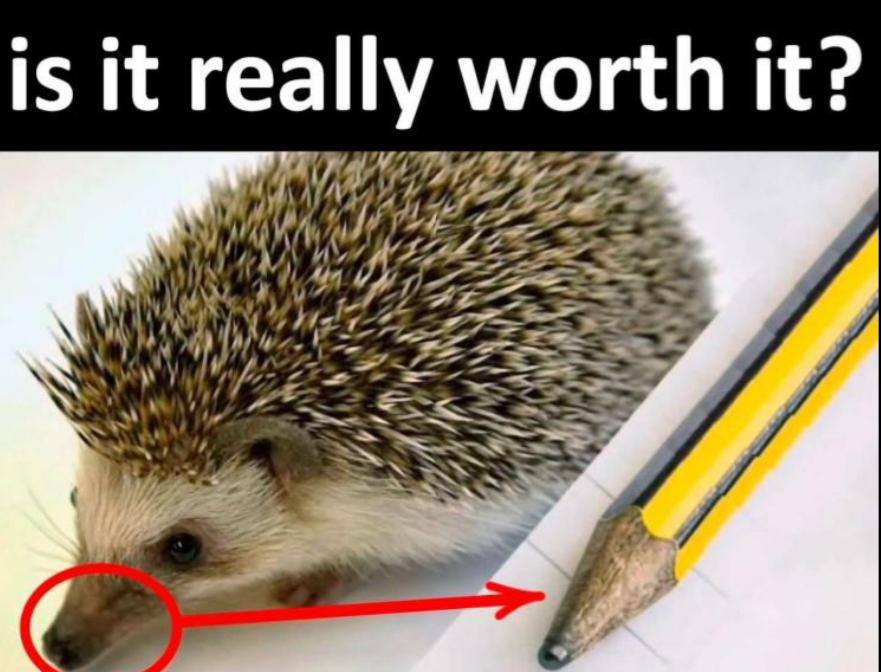 is it really worth it? у
