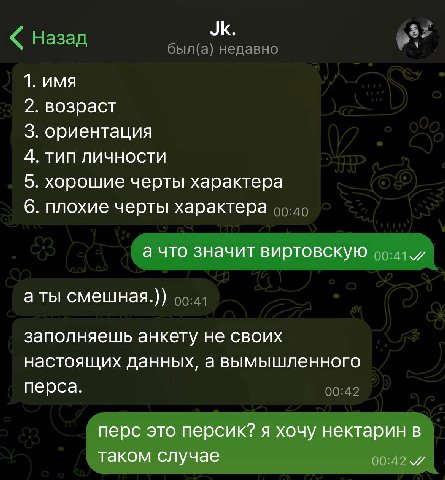 1. имя 2. возраст 3. ориентация 4. тип личности 5. хорошие черты характера 6. плохие черты характера а что значит виртовскую а ты смешная.)) заполняешь анкету не своих настоящих данных, а вымышленного