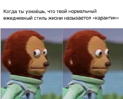 Когда ты узнаёшь, что твой нормальный ежедневный стиль жизни называется «карантин»