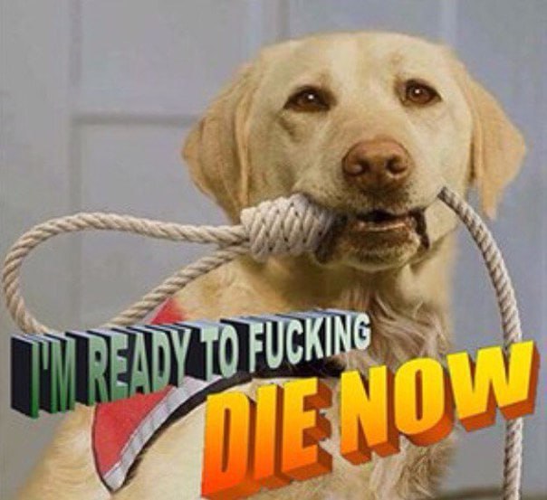 NO