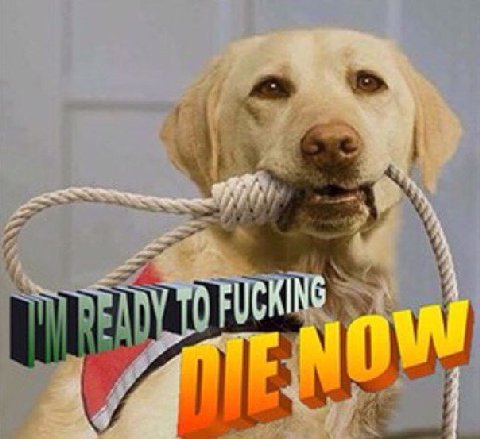 NO