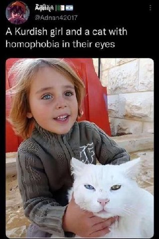 A Kurdish girl and a cat with homophobia in their eyes Я
