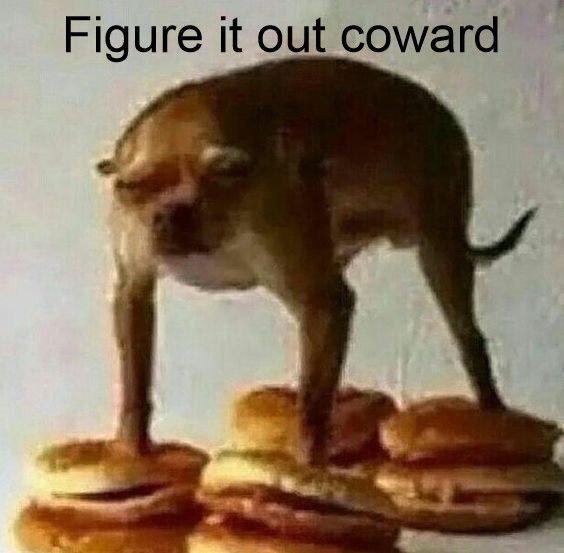 Figure it out coward