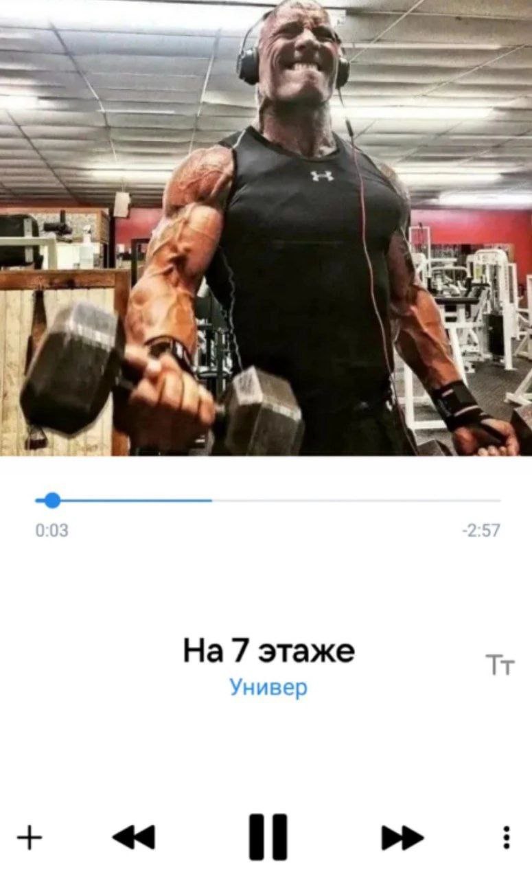 4 3 Wilt На 7 этаже Универ