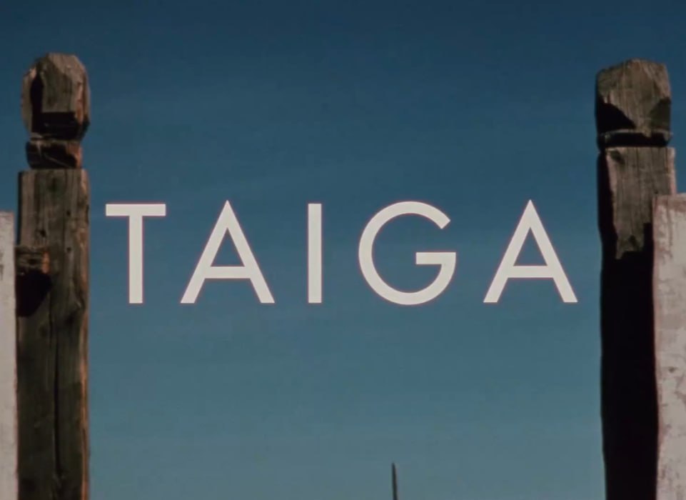TAIGA