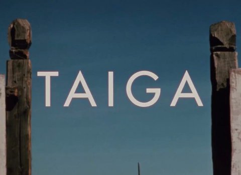 TAIGA