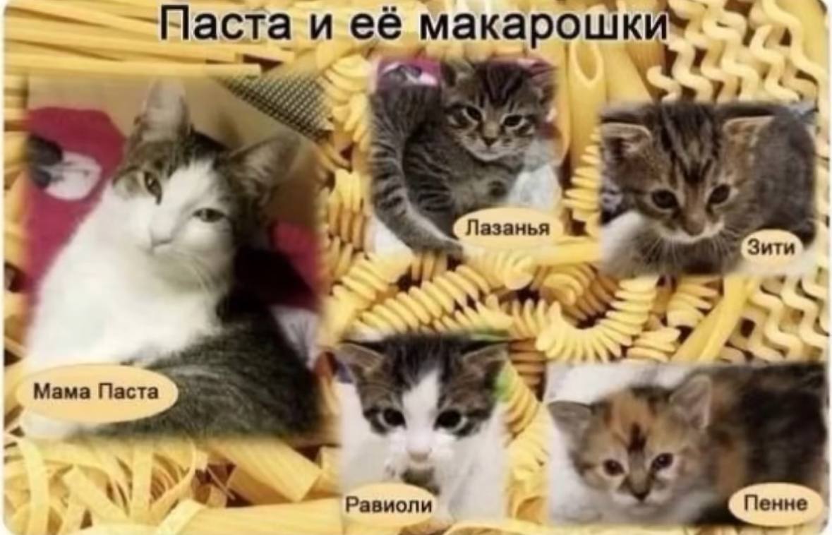 и Лазанья Зити i “у Mama Паста Равиоли Пенне