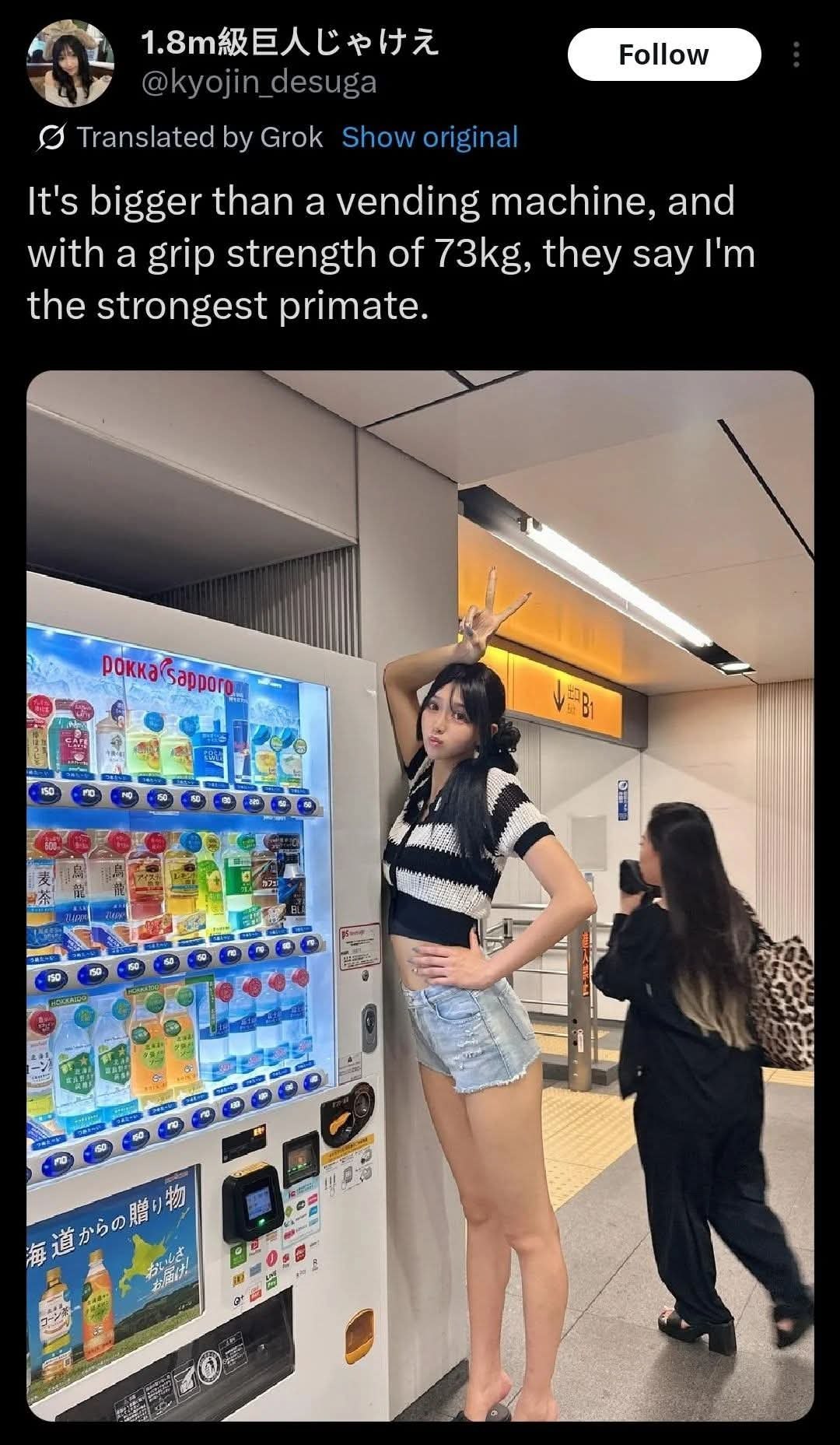 {5 Translated Grok Show original It's bigger than a vending machine, and with a grip strength of they say the strongest primate. и @=6 у. CESSES: Я