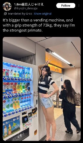 {5 Translated Grok Show original It's bigger than a vending machine, and with a grip strength of they say the strongest primate. и @=6 у. CESSES: Я