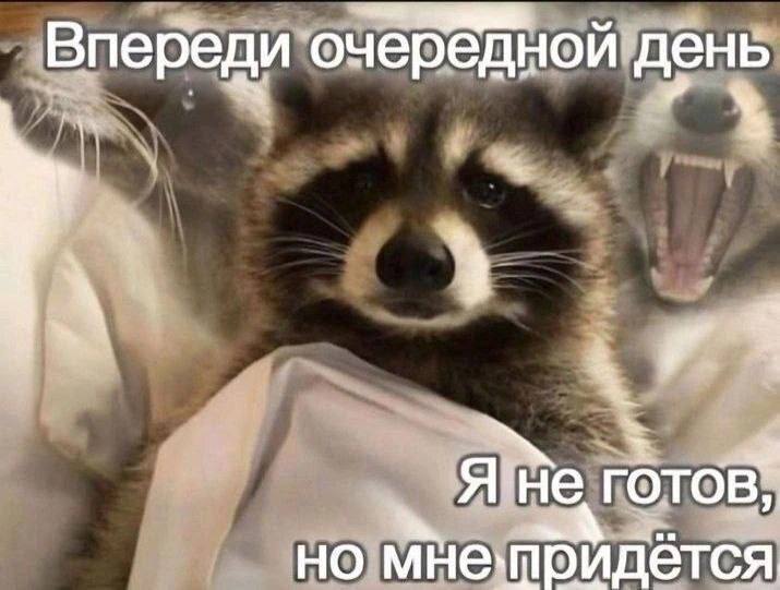 Впереди очерёдной день 1 Я'не В но