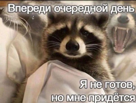 Впереди очерёдной день 1 Я'не В но