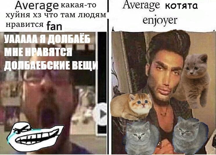 Average какая-то Average котята хуйня что там людям нравится fan МНЕ НВАВЯТСЯ a ВЕЩИ 4
