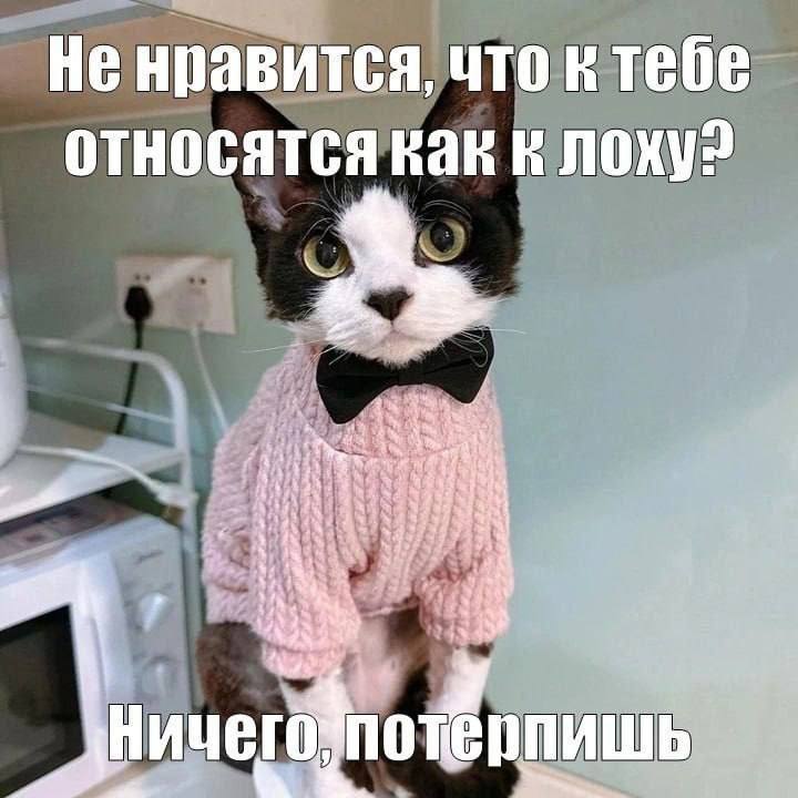 Не нравится, что ктебе относятся как к 4 Ничего