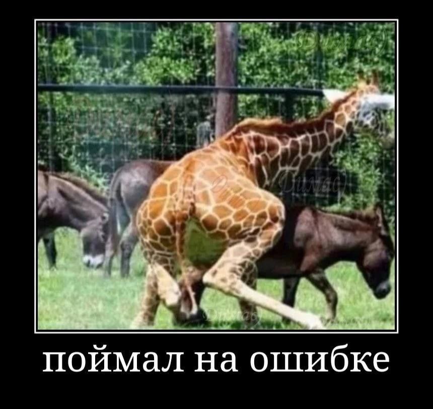 a. поймал на ошибке