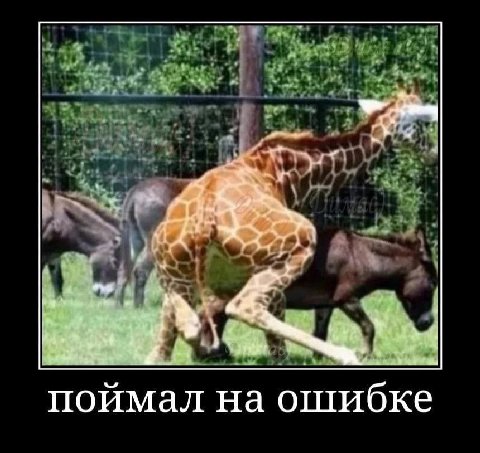 a. поймал на ошибке