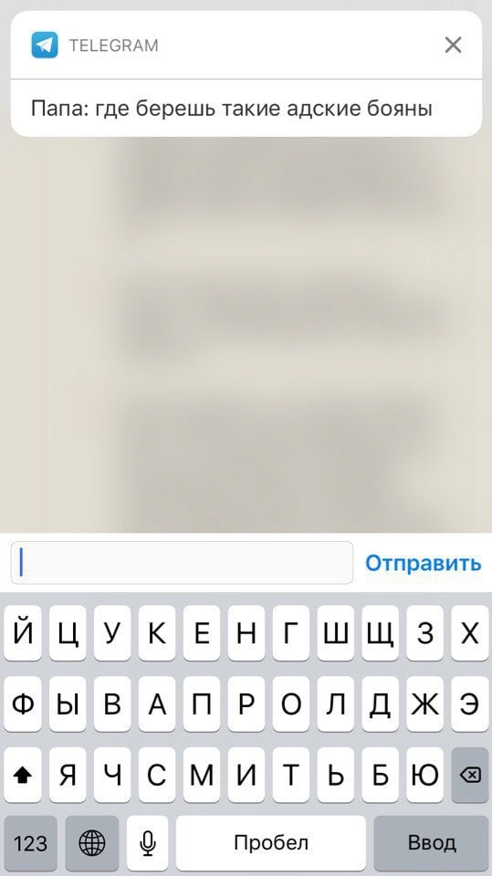 TELEGRAM Отправить 01000000768 i