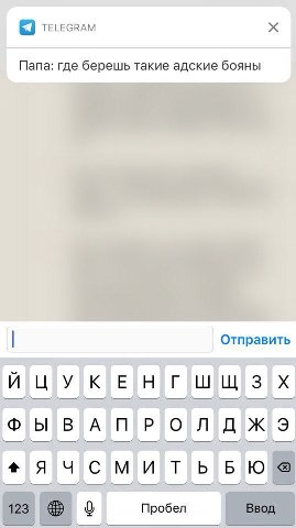TELEGRAM Отправить 01000000768 i