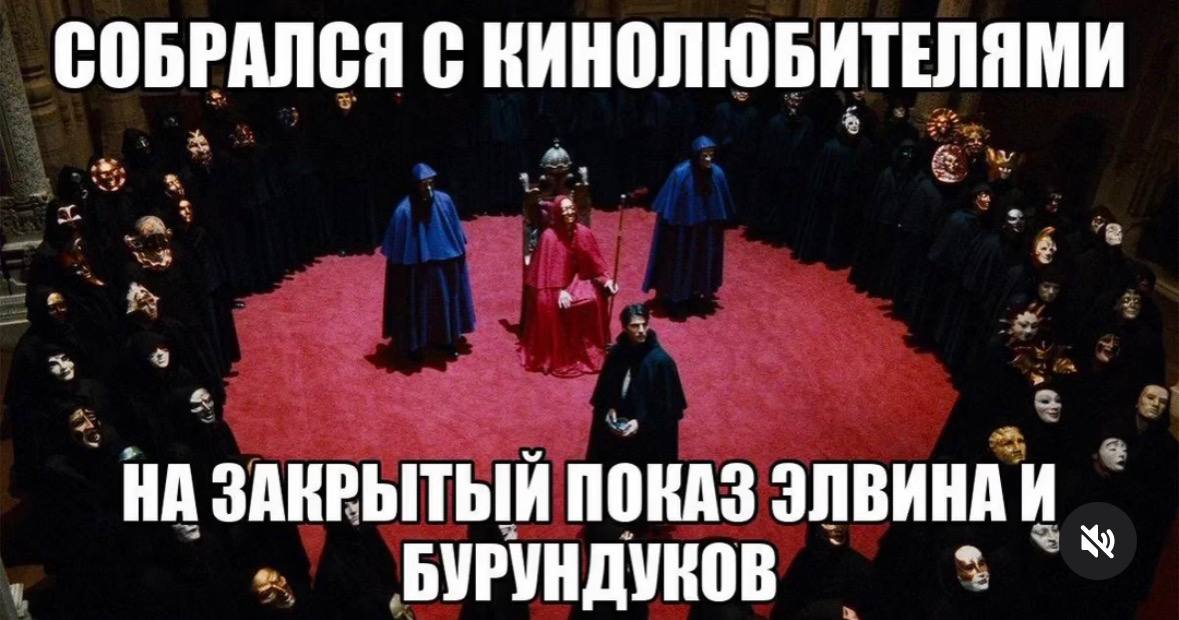 СОБРАЛСЯ С КИНОЛЮБИТЕЛЯМИ A А ЗАКРЫТЫЙ ПОКАЗ ЭЛВИНА И БУРУНДУКОВ