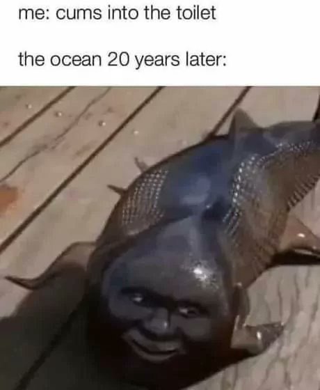 me: cums into the toilet the ocean 20 years later: