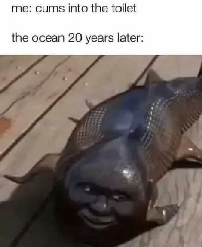 me: cums into the toilet the ocean 20 years later: